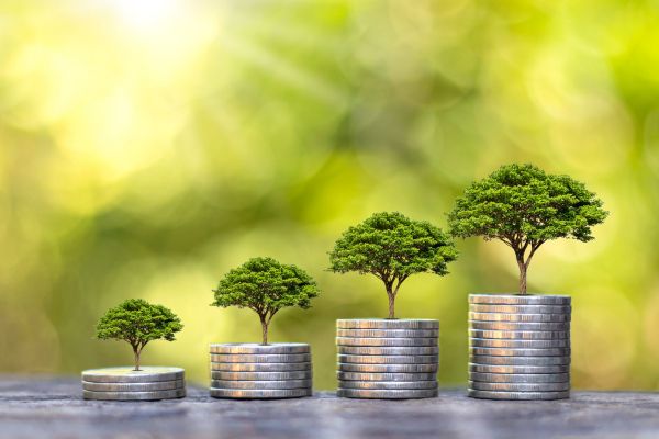 Stacks of progressively larger coins with trees growing from thems
